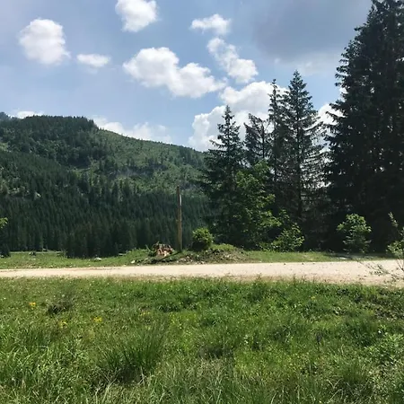 Pichler Силлиан